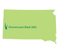 ForeverLawn Black Hills Artificial Grass Map