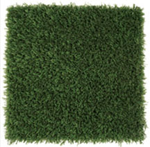 Patch ForeverLawn Playground Grass Discovery