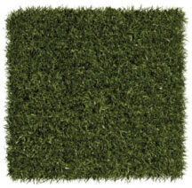 Patch ForeverLawn Playground Grass Ultra